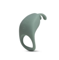 Cilantro 1.webp