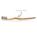 Eco-friendly-toothbrush.jpg