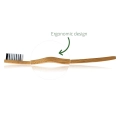 Eco-friendly-toothbrush.jpg